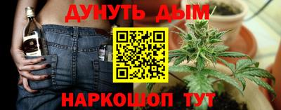 прущие грибы Новокубанск