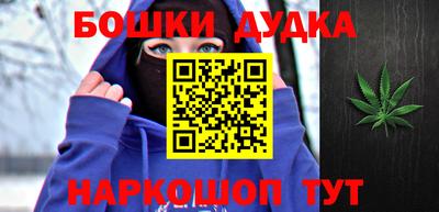 прущие грибы Новокубанск