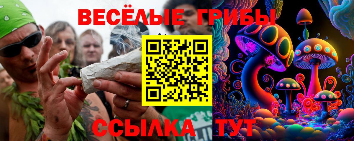 Галлюциногенные грибы MAGIC MUSHROOMS  Псилоцибиновые грибы GOLDEN TEACHER  Вход с VPN  Торжок 