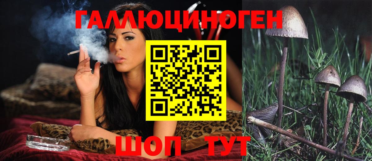 Псилоцибиновые грибы прущие грибы Торжок